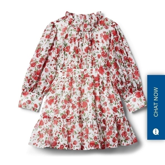 Floral CHIFFON DRESS - Picture 1 of 2